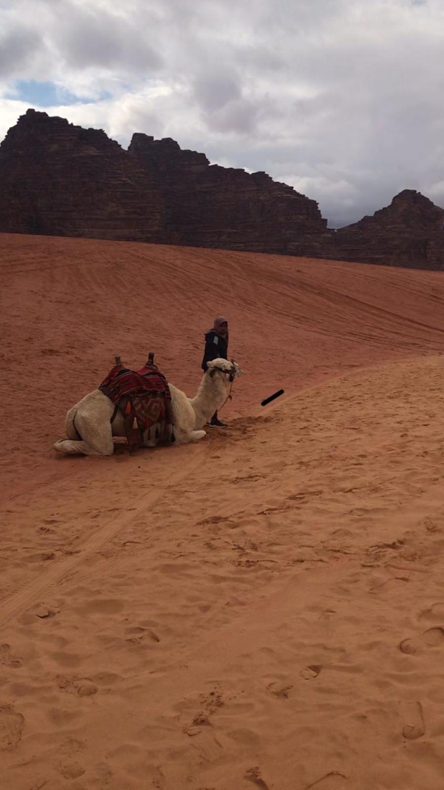 Apartment Nights Camp Jeep Tours Wadi Rum