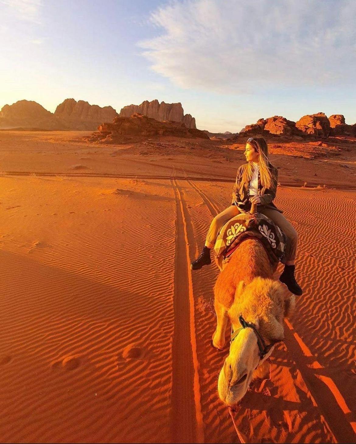 Nights Camp Jeep Tours * Wadi Rum