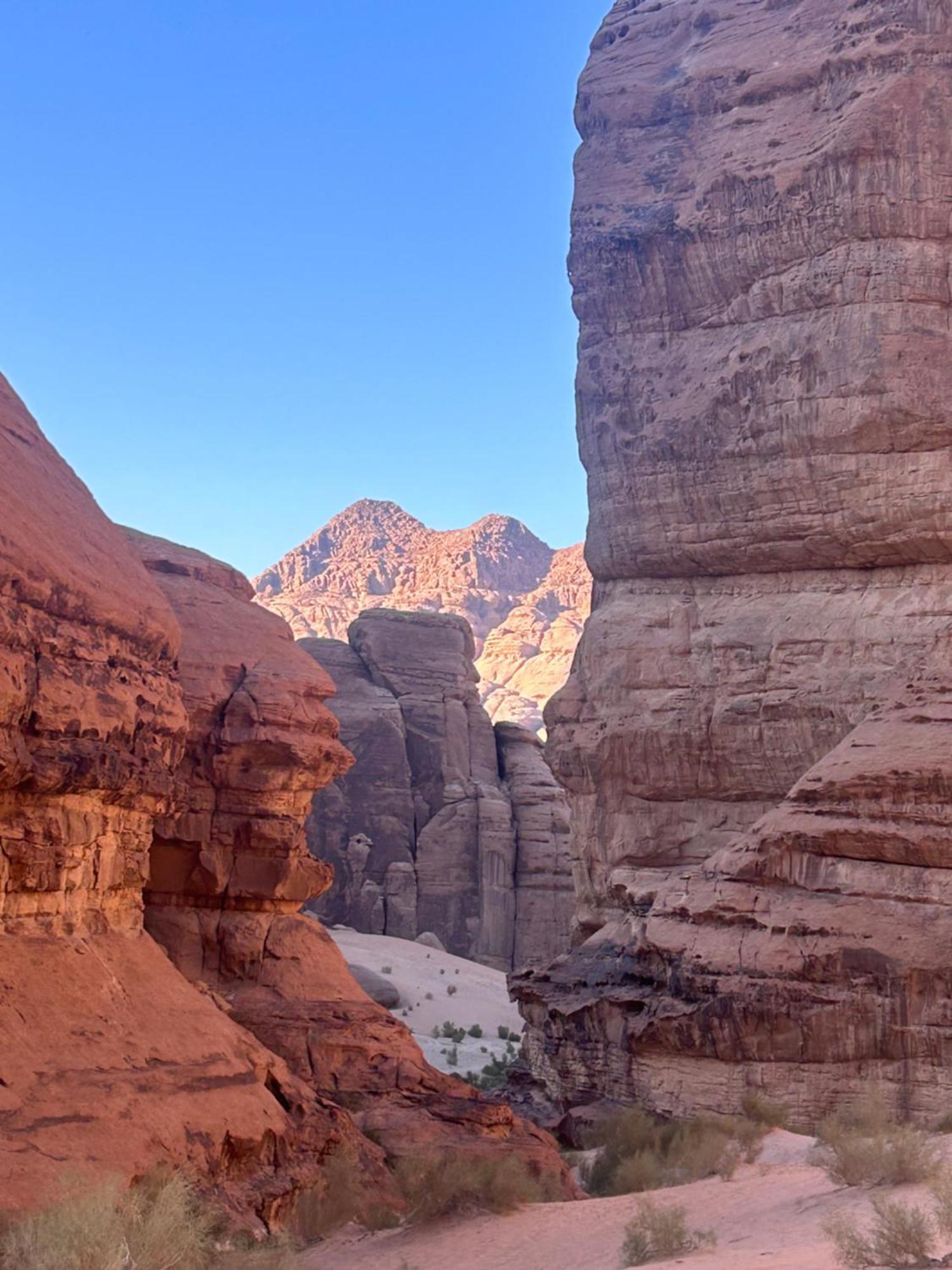 Nights Camp Jeep Tours Wadi Rum
